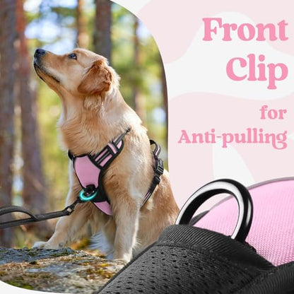rabbitgoo Dog Harness Small Sized, No Pull Easy On & Off with 3 Buckles Pet Harness, Adjustable Soft Walking Vest with 2 Clips and Handle, Reflective for Small Dogs, Pink, S - color: Pink, size: Small