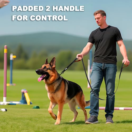 Heavy Duty Double Handle Dog Leash 6 ft Long for Total Control, Padded 2 Handle, Reflective Training Lead for Medium Large Dogs (Black, 6 FT) - color: Black