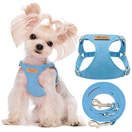 Puppytie Dog Harness with Multifunction Dog Leash,Soft Adjustable No Choke Escape Proof Pet Harness Vest,Ocean Blue,XXS - color: Ocean Blue, size: XXS(2.2-6lb）