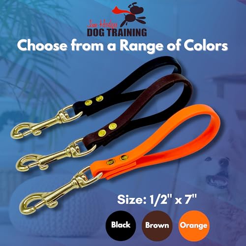 Biothane Training Tab Leash for Dogs, Brass Hardware, No Pull with Easy Grip Handle, Made in The USA, Professional Grade-Brown - color: Brown
