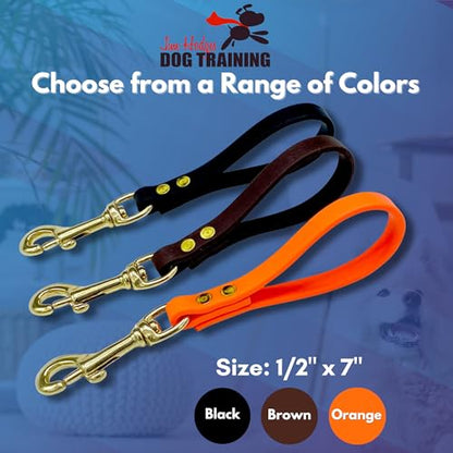 Biothane Training Tab Leash for Dogs, Brass Hardware, No Pull with Easy Grip Handle, Made in The USA, Professional Grade-Brown - color: Brown