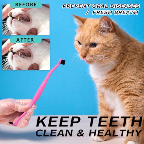 Dual Sided Cat Toothbrush Dog Toothbrush Finger Brush Micro Head to fit into Small to Large Dogs & Cats (Black, Small) - color: Black