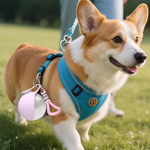 Dog Water Ball,Dog Water Bottle with Bowl,2-in-1 Portable Foldable DogWaterBottle,Leak-Proof,304 Stainless Steel Large-Capacity Cup with Foldable Silicone Bowl,Perfect for Travel - color: Pink