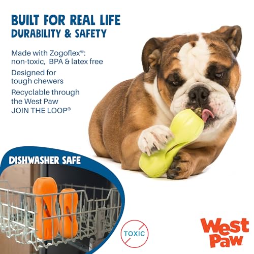 West Paw Zogoflex Qwizl Interactive Treat Dispensing Dog Puzzle Treat Toy for Dogs, Granny Smith, Large - color: Granny Smith, size: Large