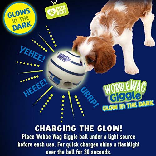 Wobble Wag Giggle Glow in the Dark | Rolling Enrichment Toy for Playtime, Interactive Play for Indoor or Outdoor, Keeps Dogs & Puppies Large, Medium or Small Busy & Moving, As Seen on TV | Pack of 1 - style: Glow In The Dark