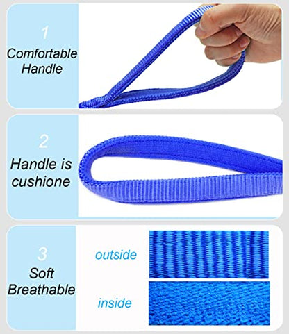2/3/4/6/10 Foot Reflective Dog Leash Heavy Duty Strong Nylon Rope Braided for Large Medium Small Dogs Walking Training Leads (Blue, 6ft * 1/2") - color: Blue, size: 6ft * 1/2"
