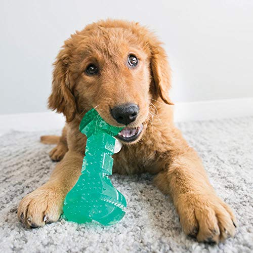 KONG Squeezz Dental Ball - Dog Toy for Cleaning Teeth - Flexible Chew Toy for Gentle & Mild Chewers - for Medium/Large Dogs - style: Ball