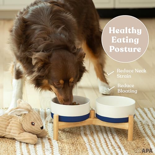 Ilyapa Ceramic Dog Bowls - Elevated for Medium Sized Pet with Raised Food and Water Set - Blue Double 6 inch, 28 Oz Bowls & 13x6.3x5.5 Wooden Stand - color: Blue
