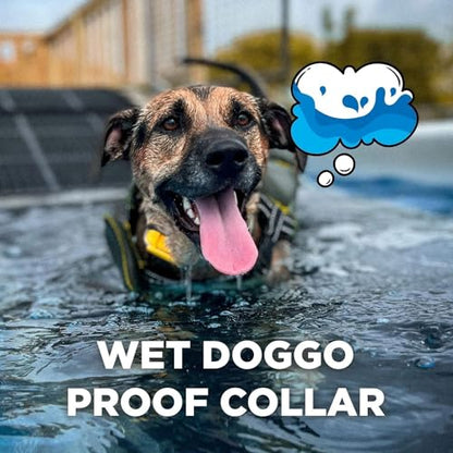 Dogtra CUE Yellow – E-Collar for Dogs Training Collar with Remote – Training Made Easy for Everyday Dog Owners – Gentle Vibration, Custom Boost, Waterproof, Rechargeable, 400-Yard Range System - color: Gen 1 Yellow