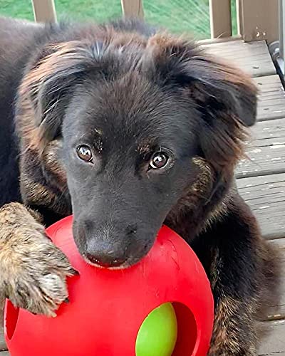 Jolly Pets Teaser Ball Dog Toy, Large/8 Inches, Red - color: Red, size: Large (8 in)