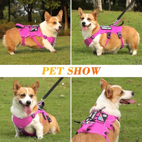 VOOPET Escape Proof Dog Harness, Soft Padded Full Body Pet Harness, Reflective No Pull Dog Harness with Handle and 2 Leash Clips for Large Dogs Walking Hiking Training (Rose Pink,XL)
