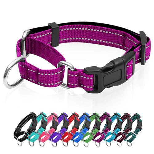 Reflective Martingale Dog Collars. Dog Collar with Quick Release Buckle. Adjustable Soft Padded Breathable Nylon Pet Collar Suitable for Puppies for Small Medium Large Dogs. - color: Rose Red, size: XS:3/4" Wide for 11.5"-13.5" Neck