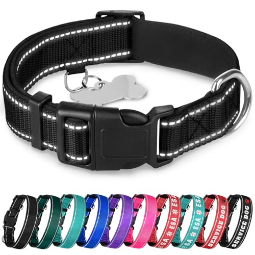 TECEUM Reflective Dog Collar – Black – L – Extra Soft Padding – Basic Nylon Pet Collar – Quick Release Buckle – Fits Small, Medium and Large Dogs, Puppies, Cats – ESA & Service Dog Options - color: Black, size: Large