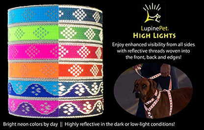 Lupine Reflective Dog Collar 1" Wide Pink Diamond Adjusts from 12" to 20" - size: 1"w; 12-20"