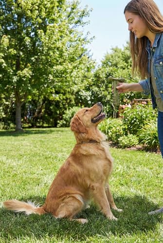 SPOT Bam-Bones Plus Toothbrush Dog Chew Toy for Large Dogs 60-90 lbs, Bamboo & Nylon Dental Chew with Mint & Baking Soda, T-Bone Shape for Moderate to Heavy Chewers, 7 Inch - size: 7 Inch (Pack of 1)