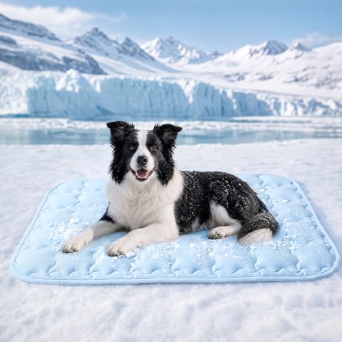 Luciphia Premium Dog Cooling Mat Non-Slip Q-MAX>0.5 Self-Cooling Pad for Small Pet Cat Indoor Portable Kennel Puppy Bed for Summer Crate Pad for Dog Washable Light Blue 20x30 inches - color: Light Blue, size: 20x30 inches