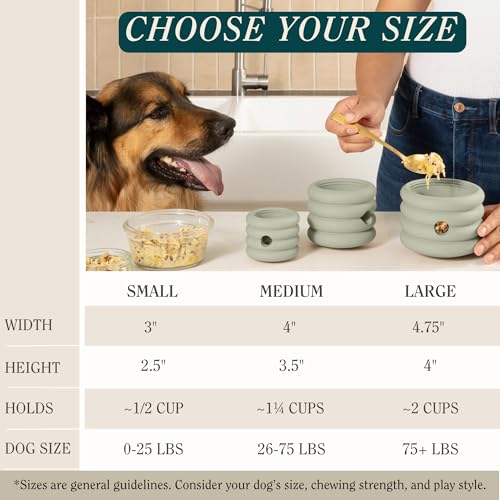 Should We Go? Interactive Dog Enrichment Toy with Freezer Plug, BPA-Free Silicone Puzzle Dog Freeze Bowl & Treat Dispenser for Mental Stimulation, Ideal for Kibble & Frozen Licks, Fits 17 oz, Large - size: Large