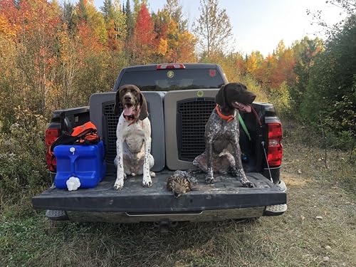 dakota283 Dakota 283 Large Kennel -Frame Door- Dark Granite - color: Dark Granite, size: Large