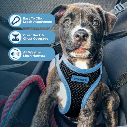 Voyager Step-in Air All Weather Mesh Harness and Reflective Dog 5 ft Leash Combo with Neoprene Handle, for Small, Medium and Large Breed Puppies by Best Pet Supplies - Blue, X-Large - color: Leash Harness Set (Blue), size: XL (Chest: 20.5 - 23")