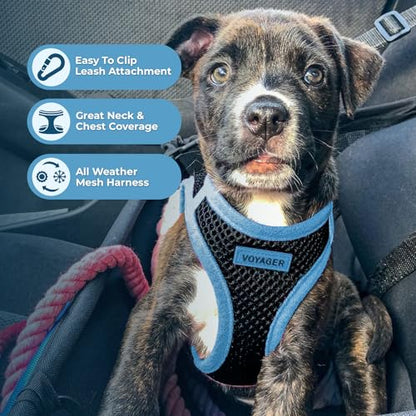 Voyager Step-in Air All Weather Mesh Harness and Reflective Dog 5 ft Leash Combo with Neoprene Handle, for Small, Medium and Large Breed Puppies by Best Pet Supplies - Blue, X-Large - color: Leash Harness Set (Blue), size: XL (Chest: 20.5 - 23")