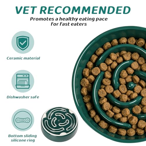 Slow Feeder Dog Bowls,Ceramic Slow Feeding Bowl for Small and Medium Breed,Anti Choking Puzzle Dog Food Bowl with Non-Slip Base for Fast Eater(Green, S-0.6CUP) - color: Green