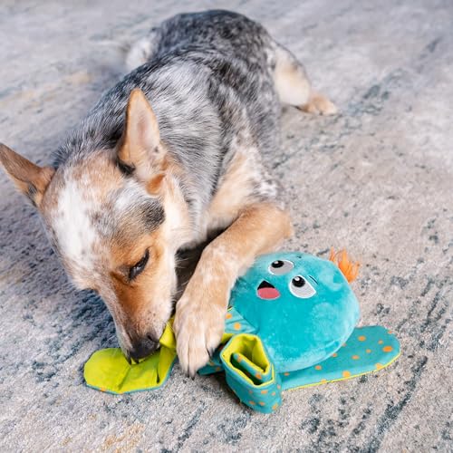 Outward Hound by Nina Ottosson Silly Legz Interactive Plush Dog Puzzle, Dog Enrichment Toys, Plush, Floppy, Long, Octopus, Blue - color: Silly Legz Octopus