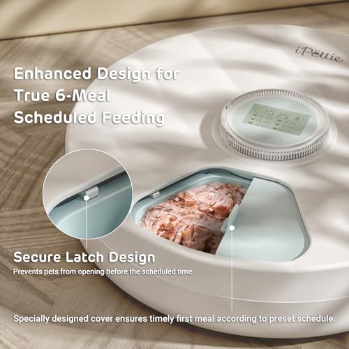 Brioche Automatic Wet Food Feeder for Pets - True 6-Meal Cordless Fresh Can Dispenser with Two Ice Packs, Perfect for Newborn Senior Sick Cats and Small Dogs