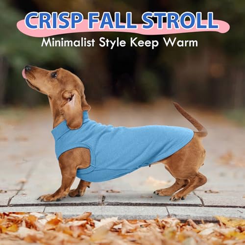 Dog Fleece Vest - Blue, S - Warm and Stretchable Sweatshirt | Sleeveless Lightweight Sweater, Pullover Design for Small Dogs, Chihuahua Clothes, Papillon, Pomeranian - color: Blue, size: Small