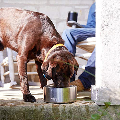 YETI Boomer 8, Stainless Steel, Non-Slip Dog Bowl, Holds 64 Ounces - color: Stainless