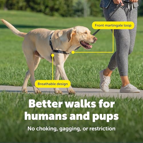 PetSafe Easy Walk No-Pull Dog Harness - Ultimate Harness to Help Stop Pulling - Pull-Free Walks - Take Control & Teach Better Leash Manners - Patented Martingale Loop Design - Apple Green, Medium - color: Apple Green/Gray, size: Medium