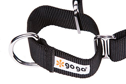 GOGO Pet Products 1-Inch Martingale Dog Collar, Large, Black - color: Black, size: Large (1" web width)