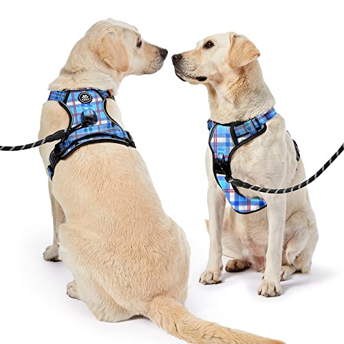 NESTROAD No Pull Dog Harness with Leash, Reflective No Choke Pet Vest Harness,Adjustable Soft Padded Dog Harness with Easy Control Handle for Small Dogs(Checkered Blue,Small) - color: Checkered Blue, size: 【S】neck 11-15" chest 15-21"