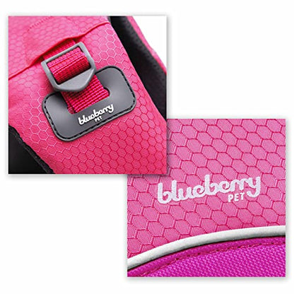 Blueberry Pet 2023 New Reflective Dog Life Jacket for Flotation, Pink and Fuchsia, Medium, Fashion Pet Swimming Vest, Life Saver with Adjustable Strong Handle - color: Pink and Fuchsia, size: Medium