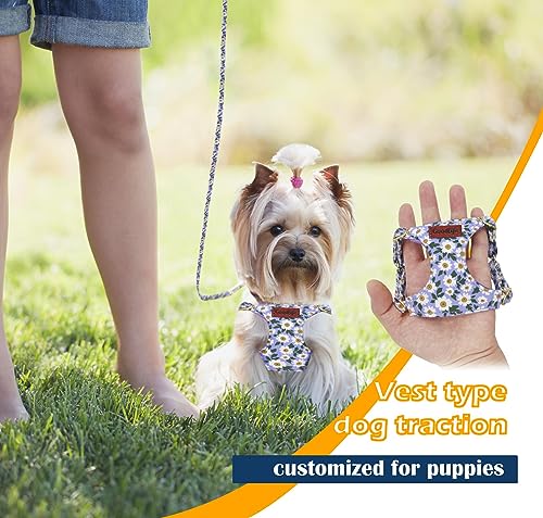 OaaXbbECco No Pull Floral Pattern Puppy Harness,Soft Adjustable Dog Harness Vest and Dog Leash Set No Choke Escape Proof (Purple Daisy, XS) - color: Purple Daisy, size: XS