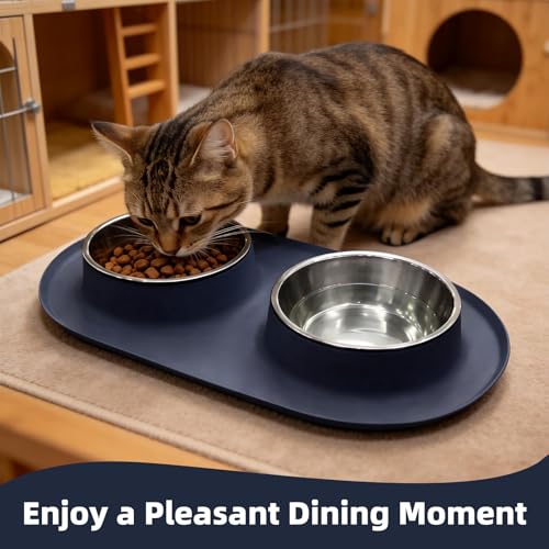 Double Stainless Steel Cat Food Bowls with Non-Slip Silicone Mat, Double Pet Feeder for Food & Water, Spill Proof Cat Dish Set for Small Medium Dogs & Cats, 1.5 Cups Each Bowl, Grey Mediun - color: Grey