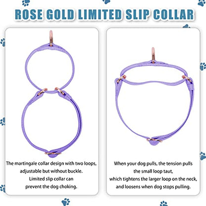 Soft Leather Martingale Dog Collar - Adjustable Rose Gold Limited Slip Collars [Easy to Clean], Stylish Durable Heavy Duty Nylon No Pull Training Collar for Small Medium Large Dogs XS Purple - color: Purple, size: XS (Neck 8"-11", Width 3/5")