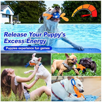 ADDPETS 4 Pack Frozen Puppy Toys to Keep Them Busy to Relieve Teething Pain,Chew Toys for Puppies 0-6 Months Relieve Teething Itch, Puppy Teething Rings to Release Excess Energy