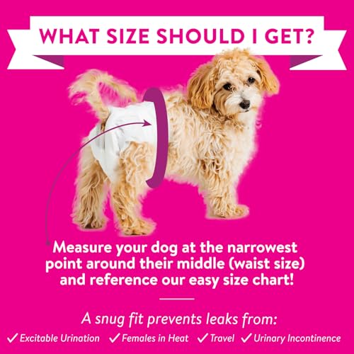 Bodhi Dog Disposable Female Dog Diapers - Super Absorbent Dog Diapers for Female Heat Cycle - Adjustable Fit Pee Wraps for Potty Training, Moisture Control & Wetness Indicator - Extra Small (20 Count) - size: X-Small (Pack of 20)