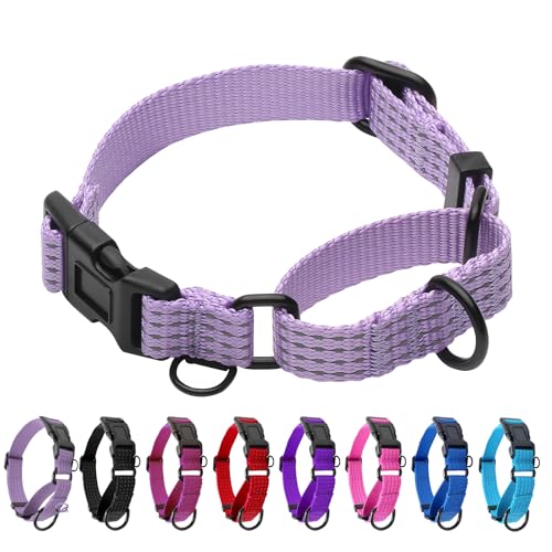Martingale Dog Collar, Reflective No Pull Training Collar with Quick Release Buckle, Adjustable Heavy Duty Nylon Choker Collars for S M L Dogs (Lavender, XS (3/5" x 11"-13.5")) - color: Lavender, size: XS (3/5" x 11"-13.5")