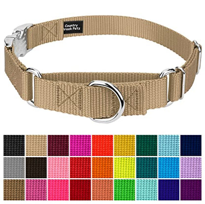 Country Brook Petz - Martingale Dog Collar - Heavy Duty Nylon Adjustable Martingale Dog Collar with Premium Buckle for Small Medium Large Breeds (5/8 Inch, Extra Small, Copper Gold) - color: Copper Gold, size: Extra Small (Pack of 1)