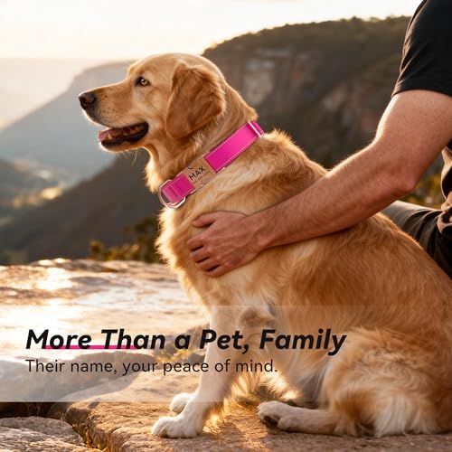 Personalized Reflective Dog Collar with Name and Phone Number, Engraved Pet ID Tag, Adjustable Nylon Collar with Quick Release Metal Buckle