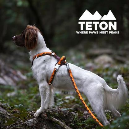 Charlie’s Backyard Teton Dog Leash, Urban to Trail 6 FT Heavy-Duty Lead Adjustable Length Hands-Free Waist-Worn, Ultra-Light Aluminum Hook, Comfort Handle with Poop Bag Clip, Autumn Glow - color: Autumn Glow