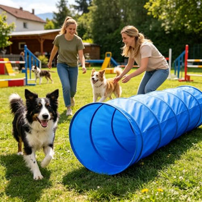 Dog Agility Equipment Training Game with Tunnel | Dog Playground Equipment for Outdoor Garden Park Beach Playground Field Competition Recreation - color: A