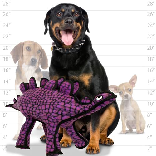 TUFFY - World's Tuffest Soft Dog Toy - Dinosaur Stegosaurus- Squeakers- Multiple Layers. Made Durable, Strong & Tough. Interactive Play (Tug, Toss & Fetch). Machine Washable & Floats - color: Purple Stegosaurus Dinosaur
