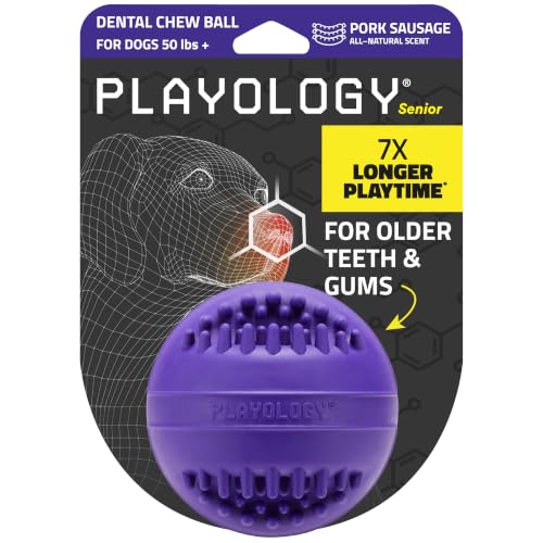 Playology Dog Toys | Dental Chew Ball for Large Senior Dogs | Pork Sausage Scented Jumbo Toy | Dog Balls for Healthy Teeth and Gums - size: Jumbo Chew Ball, style: Pork Sausage