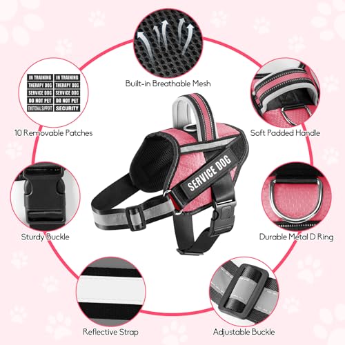 Service Dog Vest Harness and Leash Set, Animire in Training Dog Harness with 10 Dog Patches, Reflective Dog Leash with Soft Padded Handle for Small, Medium, Large, and Extra-Large Dogs (Rosy,XS) - color: Rosy, size: XS