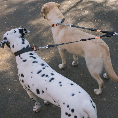 HOWGO Double Dog Leash,Tangle-Free 360 Swivel(Black, Pro M-L Splitter) | Individually Adjustable Length, Coupler Leads 2 Dogs,Aviation Aluminum Hooks,Durable Nylon,No-Tangle Walking,All Breeds - color: Black, size: Pro M/L