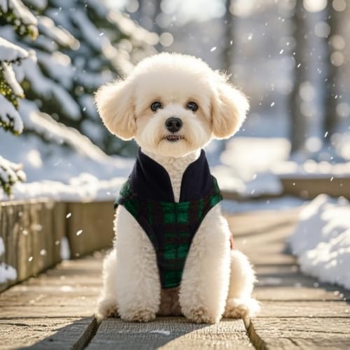 Rbenxia 1 PC Plaid Dog Sweaters with Leash Ring Soft Fleece Vest Dogs Pullover Warm Jacket Pet Dogs Clothes Winter Dog Outfits for Small Puppy Cat Pets (Green and Black, Large) - color: Green and Black, size: Large