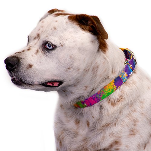 Country Brook Petz - Paint Splatter Martingale Dog Collar - Groovy Collection Featuring Far Out Designs (1/2 Inch, 2XS) - color: Paint Splatter, size: 2XS (Pack of 1)