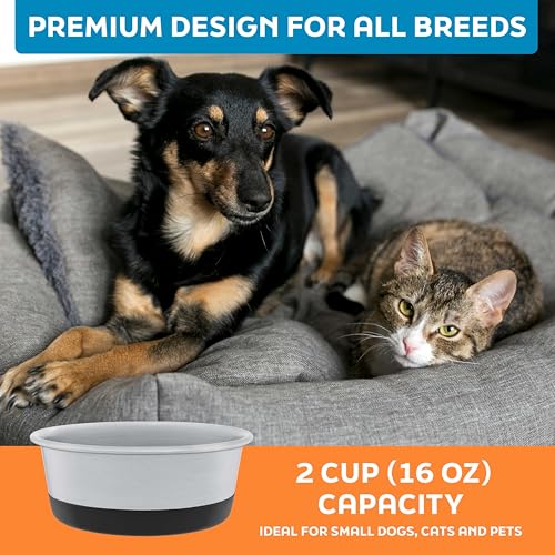 Master Pet Supply Stainless Steel Dog Bowls Set of 2 with Extra Thick Silicone Base - 2 Cup (16 oz) Black Velvet, Non-Slip, Dishwasher Safe Metal Bowls, Pet Dog Food Bowl for Dogs, Cats, Anti Rust - color: Black Velvet, size: 2 Cups (16 oz) 2 Pack
